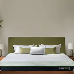 Amore Active Green Tea White & Black Orthopedic Single Size Mattress-image-0