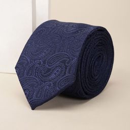Louis Philippe Men Embroidered Fashion Tie-image-41