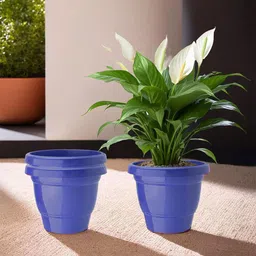 Kuber Industries 3-Pcs  Blue Durable Planters-image-50