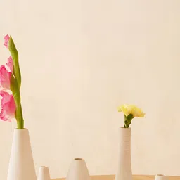 PUREZENTO 6Pcs Japenese Ikeban White Flower Vases-34