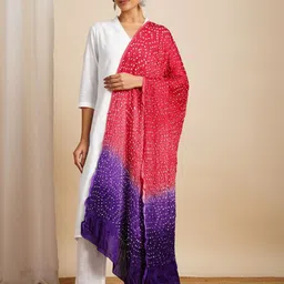 JAYPORE Bandhani Printed Dupatta image 1