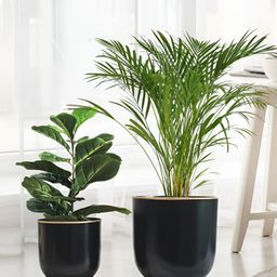 BEHOMA 2-Pcs Black Metal Planters-48
