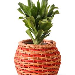 Peepul Tree Brown & Rust Textured Wooden Wicker Planter-image-79