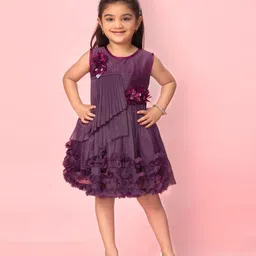 BAESD Net A-Line Dress image 3