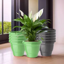 Kuber Industries Set Of 10 Black & Green Planter With Pot-36