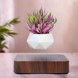Ekhasa White & Brown 2 Pieces Textured Magnetic Levitating Pot With Base & Cable-39
