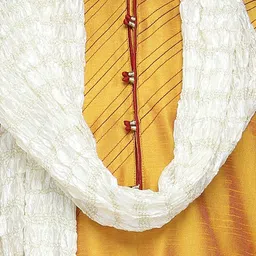 SKAVIJ Men Regular Thread Work Dupion Silk Kurta with Churidar & With Dupatta image 4