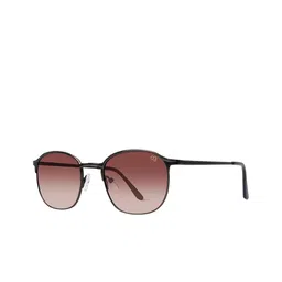 Woggles Unisex Brown Lens & Brown Wayfarer Sunglasses with-40