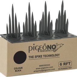 Bird Spike-16