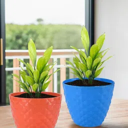 Kuber Industries 6 Pc Orange Colored & Blue Diamond Pattern Durable Plastic Planters-18