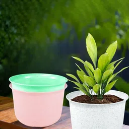 Kuber Industries 3Pcs Pink & White Textured Planters With Plate-picture-18