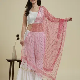 Dupatta Bazaar Woven Design Organza Dupatta with Zari-picture-20