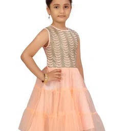 BAESD Net Fit & Flare Dress image 4