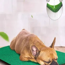 Cortina Green Rectangular Artificial Grass Floor Mat image 4