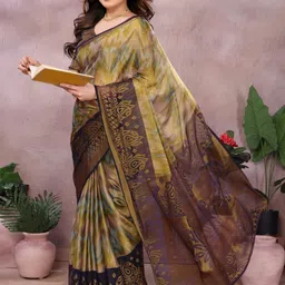 Dori Abstract Printed Brasso Saree-picture-1