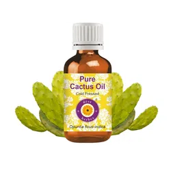 Deve Herbes Pure Cactus Oil Cold PressedFor Split Ends 30 ml-image-51