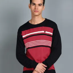 Men Striped Round Neck Multicolor Sweater-picture-28