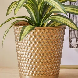 Home Centre Gardenia Amaze Beige Textured Metal Planter-56