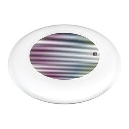 Tribord By Decathlon Disc Sports Accessories 175g-image-0