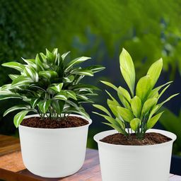 Kuber Industries White 2 Pieces Textured Flower Pots With Plate-13