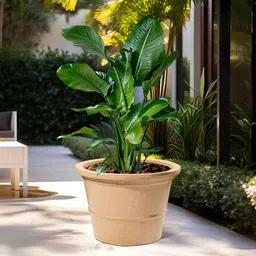 RUBOXA Brown UV ProtectedLarge Big Size Flower Pot Planters-image-89