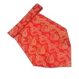Paisley Design Cravats-image-60