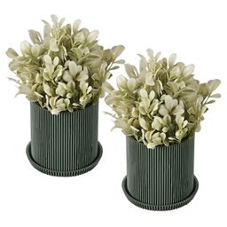 RUBOXA Green & Olive Green 2 Pieces Artificial Plant With Pots-image-23