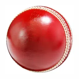 HackerX Leather CricketBall-20