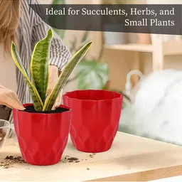 Kuber Industries Red & Pink 4 Pieces Barfi Pattern Durable Planters image 2