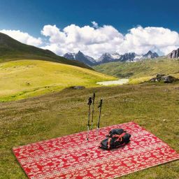 sapana carpet-mats Red Floral Polyproylene 9 ft x 9 ft Machine Made Picnic Mat-picture-10