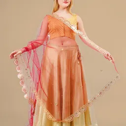 Karthav Fashion Embroidered Dupatta with Beads and Stones-14