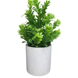 De Gardenia Green 1 Pieces Eucalyptus Artificial Plant With Pot-picture-8