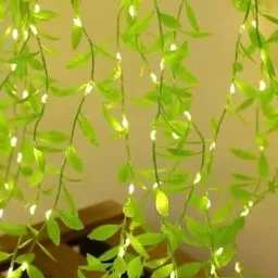 120 LEDs 3 m Yellow Flickering, Steady Wasp Rice Lights-22