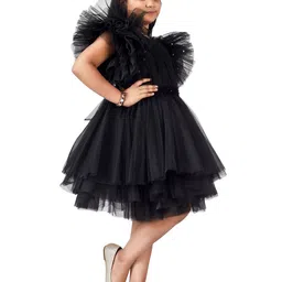 Modish Net Fit & Flare Dress image 2