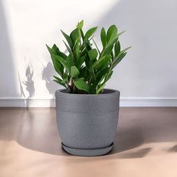 GARDEN'S NEED Grey Jaguar Cool Pot Round Shape Planter With Tray image 4