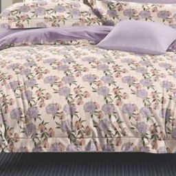 Bedbathandbliss Multicoloured Floral 300 TC Bedsheet with 2 Pillow Covers-image-11