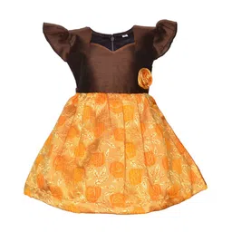 BAESD Floral A-Line Dress-picture-37