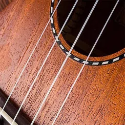kadence Ukulele String Set STR-UK01 Nylon Replacement Ukulele Strings True Tone Ukulele Strings for Soprano, Concert, Tenor,1-A,2-E,3-C,4-G Tenor Ukelele Strings image 5