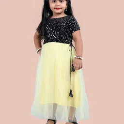 Shrithi Fashion Fab Net Fit & Flare Dress-20