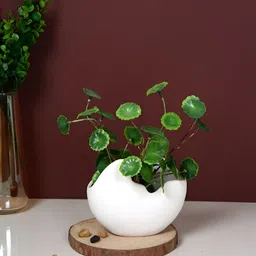 TAYHAA White Ceramic Cloud Embrace Sculpted Planter-30