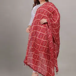 Fabme Printed Dupatta image 2