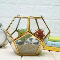 Gold Glass Hanging Planter by Gold Dust-picture-5