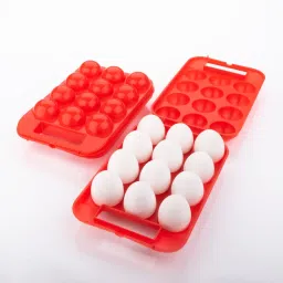 Plastic Egg Container- 12 ml-1