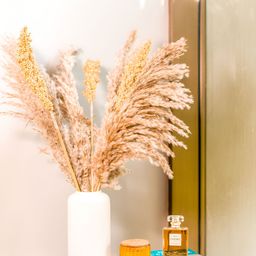ArteCasa Naturally Dried Pampas Corn Dried Bunch-image-78