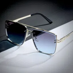 French Accent Men Aviator Sunglasses with Polarised Lens AW24_FASG1031-image-80