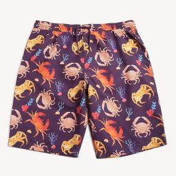 Marks & Spencer Boys Conversational Printed Mid Rise Shorts-image-20