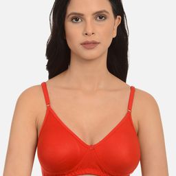 mod & shy Women Red Non-padded Non wired Seamless Everyday Bra-23
