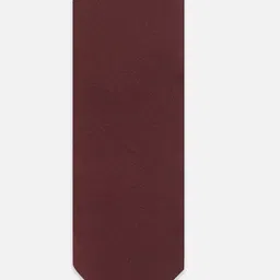 Louis Philippe Men Skinny Tie-picture-35
