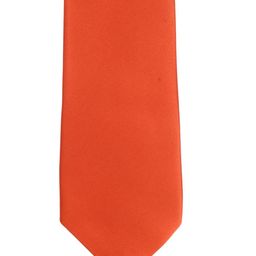 Alvaro Castagnino Men Orange Broad Neck Tie-image-69
