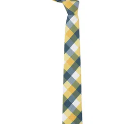 Tossido Men Checked Broad Tie image 2